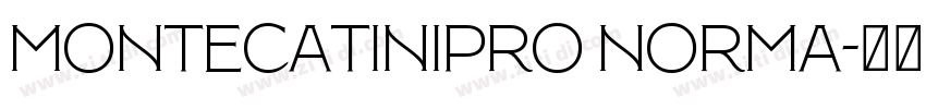 MontecatiniPro Norma字体转换